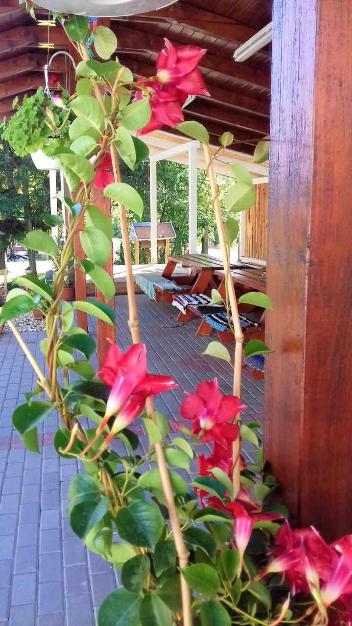 Kristaly Vendeghaz Hotel Bogács Екстериор снимка